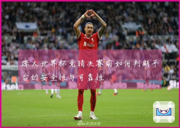 烽火世界杯竞猜决赛前如何判断平台的安全性与可靠性