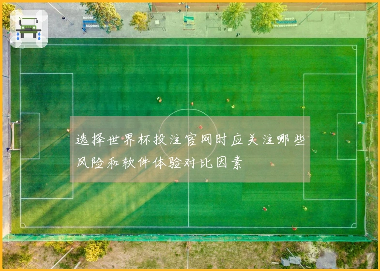 选择世界杯投注官网时应关注哪些风险和软件体验对比因素